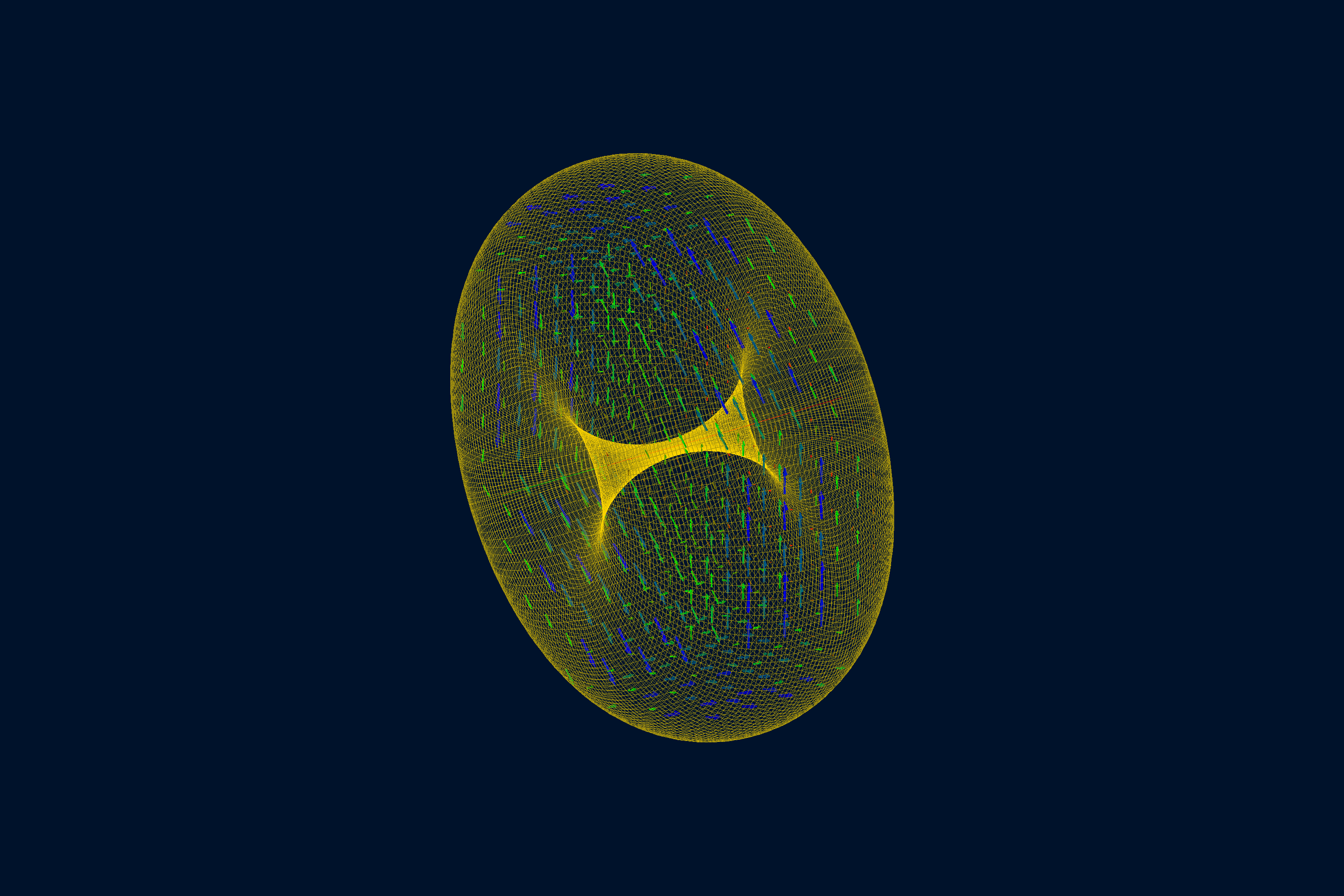Torus ASCII Field Map geometry view